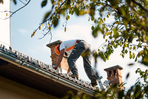 Best Roof Waterproofing Services  in Wamac, IL