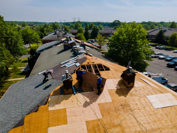 Best Roof Restoration Services  in Wamac, IL