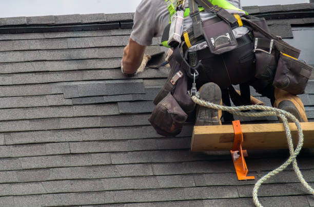 Roof Gutter Cleaning in Wamac, IL