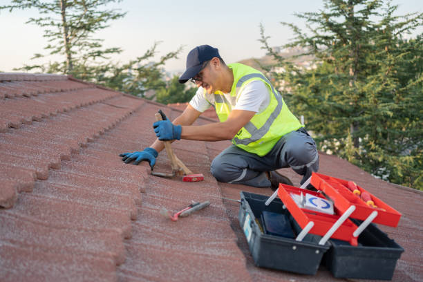 Best Roof Leak Repair  in Wamac, IL