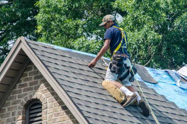Best Roof Repair Services  in Wamac, IL